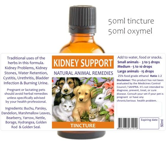 Kidney Support Animal Remedies 50ml image 2